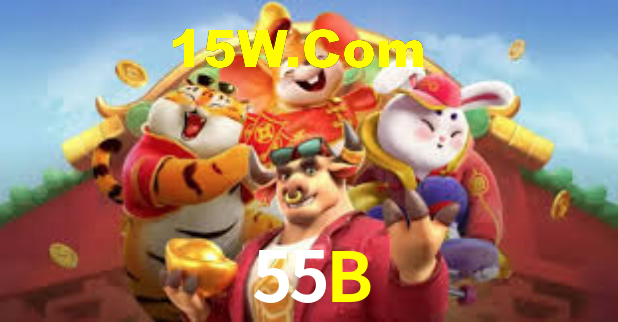 55B App Interface