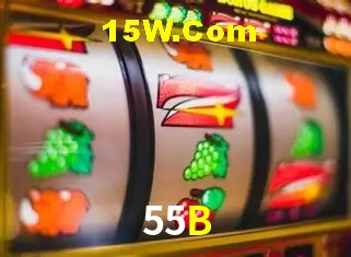Secure Login 55B