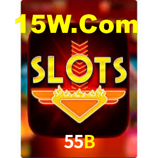 Premium Interface 55B